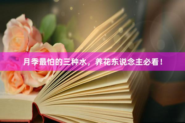 月季最怕的三种水，养花东说念主必看！