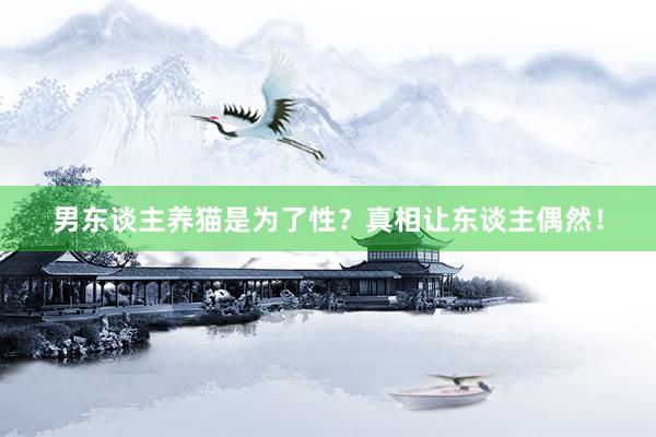 男东谈主养猫是为了性？真相让东谈主偶然！